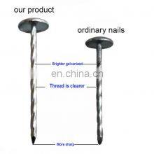 Galvanized Umbrella Head Roofing Nails With Smooth/Twist Shank by Low Price thumbnail-5