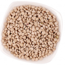 10g High Germination Korean Ginseng Seeds Sale With Good Price thumbnail-2