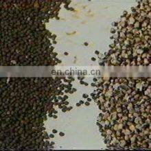 High Round Automatic Traditional Chinese Medicine Pill Making Machine thumbnail-4