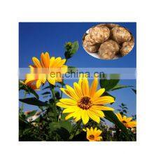 Inulin Topinambur Fructose Plant for Sale