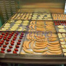 Large Commercial High Productivity Freeze Drier Dryer Lyophilizer thumbnail-5