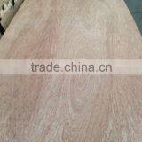 Commercial Plywood thumbnail-2