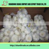 2016 New Crop Organic White Garlic Price Wholesale Chinese Garlic thumbnail-5
