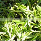 USDA DAKKS CERES Organic Slimming Energy Vegan Matcha Capsules thumbnail-4