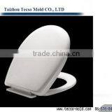 Plastic Toilet Seat /toilet Cover Mould Supplier thumbnail-3