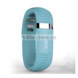 Wrist Watch Guard OEM 2014 New Arrival BT Wristband Pedometer,Calorie Measurement Bluetooth Wrist Watch BD2