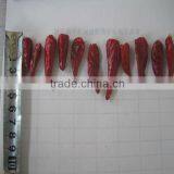 2013 Cheapest Dried Peppers thumbnail-3