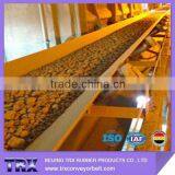 Oil Resistant Conveyor Belt With Poly Black Heavy-duty Nitrile thumbnail-6