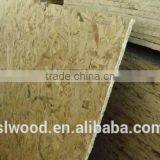 OSB for Construction With WBP Glue