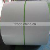 Colored Steel Sheet Coils for Building