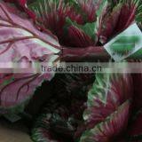 Silk Foliage Brocoli