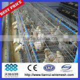 Hot Sale Chicken Cages for Farming thumbnail-1