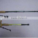 Nordic Walking Pole thumbnail-1