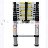 Folding Ladder thumbnail-1