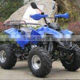Shaft Drive China 800W Electric ATV for Sale ( TKE-A800-J) thumbnail-4