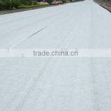 17 Grams to 50grams Floating Row Cover for Canada and USA Market thumbnail-1