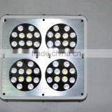 High Quality Apollo Cob Led Grow Light thumbnail-6