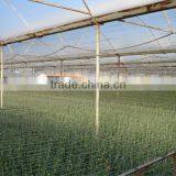 Anti-drip, Anti-fog, Single Span Blowing Agriculture LDPE Trasparent Plastic Film for Vegetable Greenhouse thumbnail-3