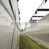 Factory Price BLD001 Plasctic Film Cover Greenhouse for Agricultural and Commercial Use thumbnail-2