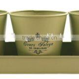 Set of 3 Hot-selling Metal Flower Pot With Logo Printed