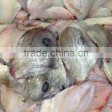 John Dory Fillet ( Zeus Faber ) 100-150 150-200 200-300 thumbnail-1