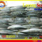 FROZEN LAYANG SCAD (MUROAJI) WHOLE ROUND thumbnail-5