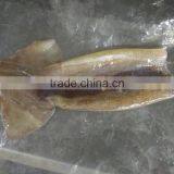 Zhengyuan Frozen Illex Squid Tube thumbnail-4