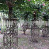 Lagerstroemia Indica Formed Shape Plants thumbnail-4