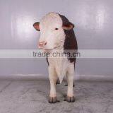 Hereford Bull thumbnail-2