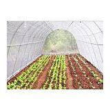 3% UV PP Spunbond Agriculture Non Woven Landscape Fabric All GSM thumbnail-1