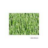 Sell Soccer Turf thumbnail-1