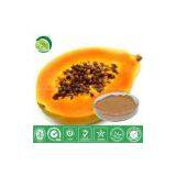 Papaya Juice Powder thumbnail-1