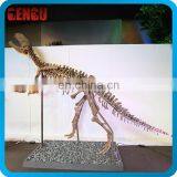 artificial chinese dinosaur fossils specimen