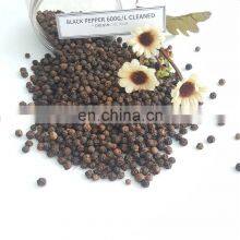 Black Pepper - Vietnam High Quality Best Price Agenas Co. Ltd thumbnail-1