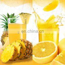 Industrial Pineapple Juice Extractor Machine thumbnail-3