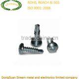 China Pan Head Screw Factory