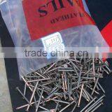 Common Nail thumbnail-5