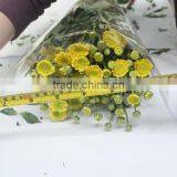 China Factory Direct 2015 Fresh Chrysanthemum thumbnail-3
