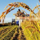 Super Absorbent Polymer Powder for Agriculture Planting thumbnail-5