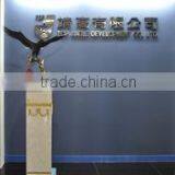 Top Jingle Development Co., Ltd. company overview - view 1 thumbnail