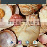 Factory Price 10 Inch LTE 4G Net Work, MTK8375 Quad Core, Android 5.1, Ram 2gb, 1280*800 Resolution Tablet pc thumbnail-4