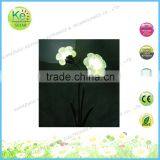 Garden Usage and Solar Power Supply Solar Light thumbnail-5