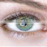 Wholesale 14.2mm Korea Blue Green Gray Different Color Cosmo Contact Lens thumbnail-5