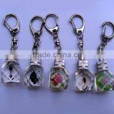 2016 Beautiful Bright in Color Crystal Keychain