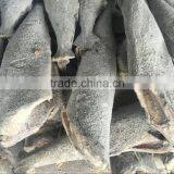 Good Quality Frozen HGT Hamachi in 2016 thumbnail-4