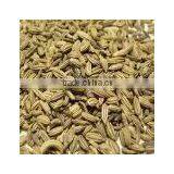 Fennel Seeds thumbnail-1