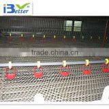 BT Factory Poultry Drinking Line With Nipple for Broiler Chicken