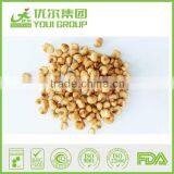 Spicy Toasted Corn Nuts, Corn Snacks thumbnail-1