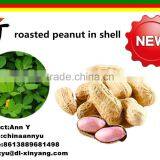 Good Salted Roasted Peanut in Shell thumbnail-4