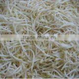 Canned Mung Bean Sprouts thumbnail-1